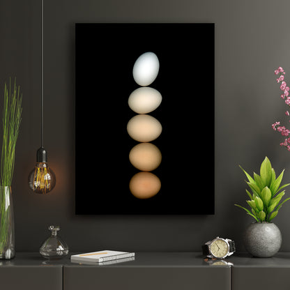 Five chicken eggs, ranging in color from white to deep brown and muted beige, are balanced on a black background, hence the name Équilibre for this open-edition fine art print. OE-358. Scanography by Carmen Grenier.