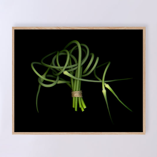 This fine art print features a detailed bouquet of garlic scapes on a black background. The print measures 10x8 inches and has the code OE-362-1. The image was created using scanography by Carmen Grenier.