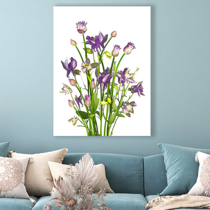 This fine art print features a bouquet of chives and columbines in bloom on a black background. The print measures 24x30 inches and has the code OE-366-6. The image was created using scanography by Carmen Grenier.