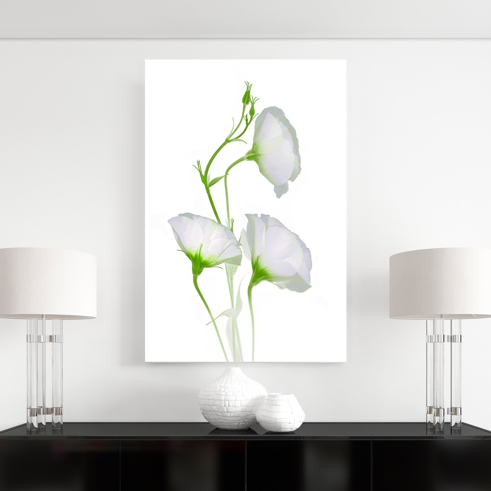 open edition print of three white campanula flowers on a white background. 24x36 inches code OE-367-4, scanography by Carmen Grenier.